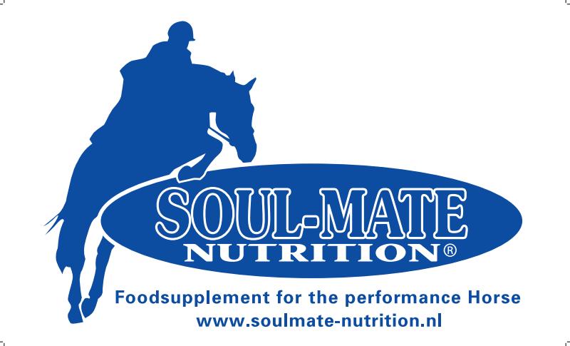 logo soulmate spring logo soulmate spring